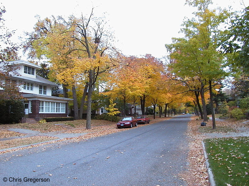 Photo of Fall Colors on Emerson Avenue South(1077)