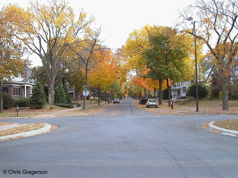 Photo of Emerson Avenue from Kings Highway(1081)