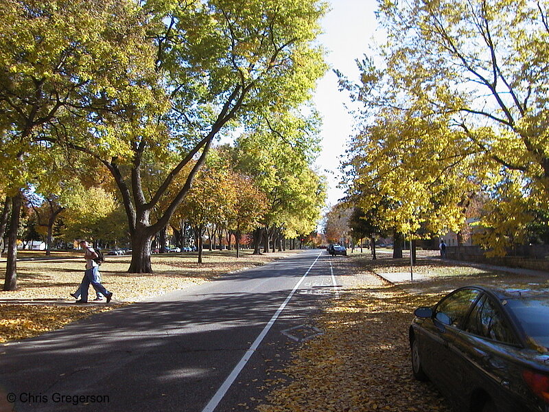 Photo of Summit Avenue from Cretin Avenue(1126)