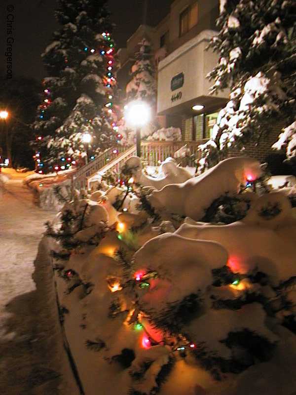 Photo of Allegro Christmas Lights(1153)