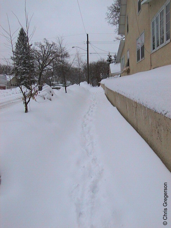 Photo of 45th Street Sidewalk in Winter(1175)