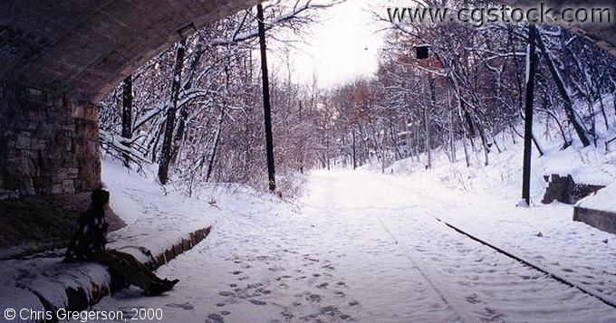 Photo of Streetcar Tracks(Winter)(170)