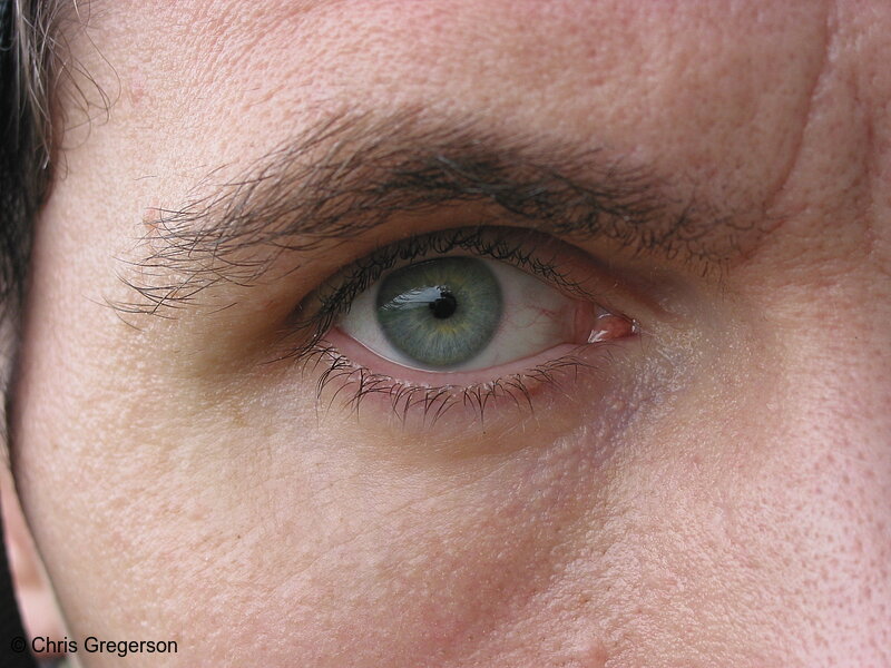 Photo of Eye (Close-up)(2046)