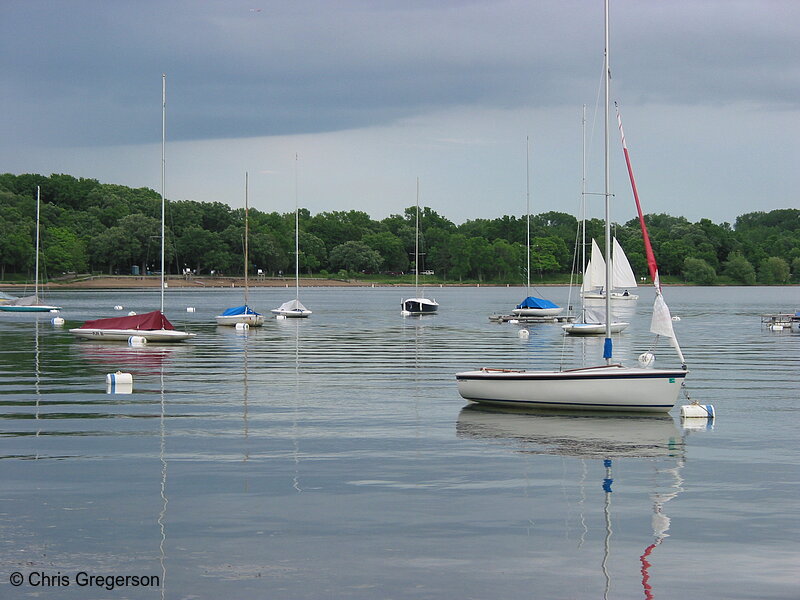 Photo of Sailboats on Lake Harriet(2082)
