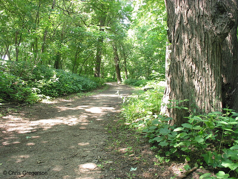 Photo of Hiking Path at Fort Snelling State Park(2218)