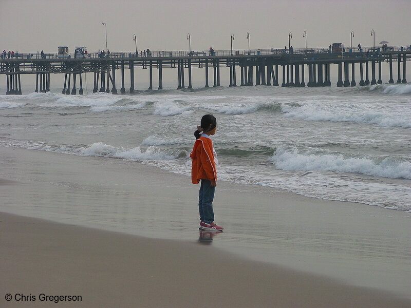 Photo of Santa Monica Pier and Child on Beach(2630)
