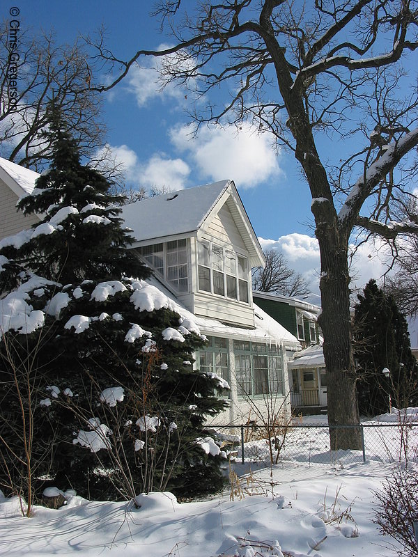 Photo of Snowy Tree and Home(2704)