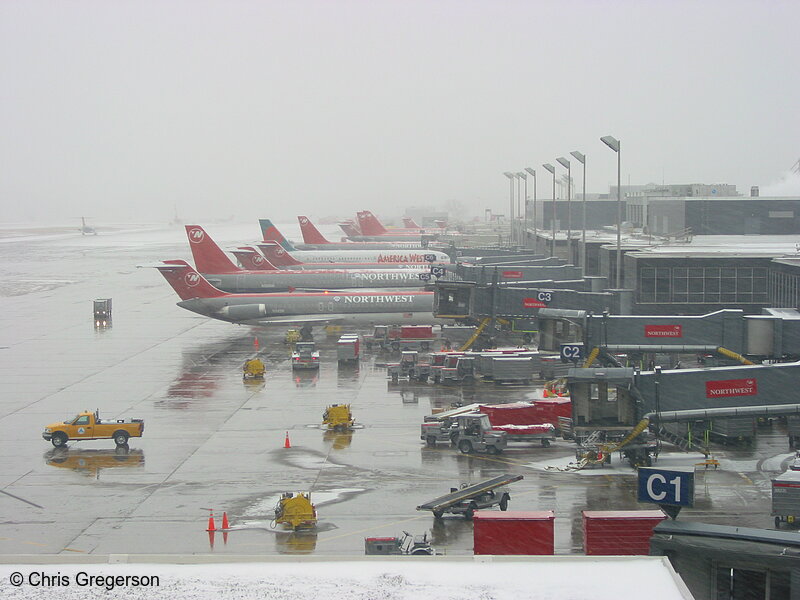 Photo of Row of Airplanes at Terminal Gates(2781)