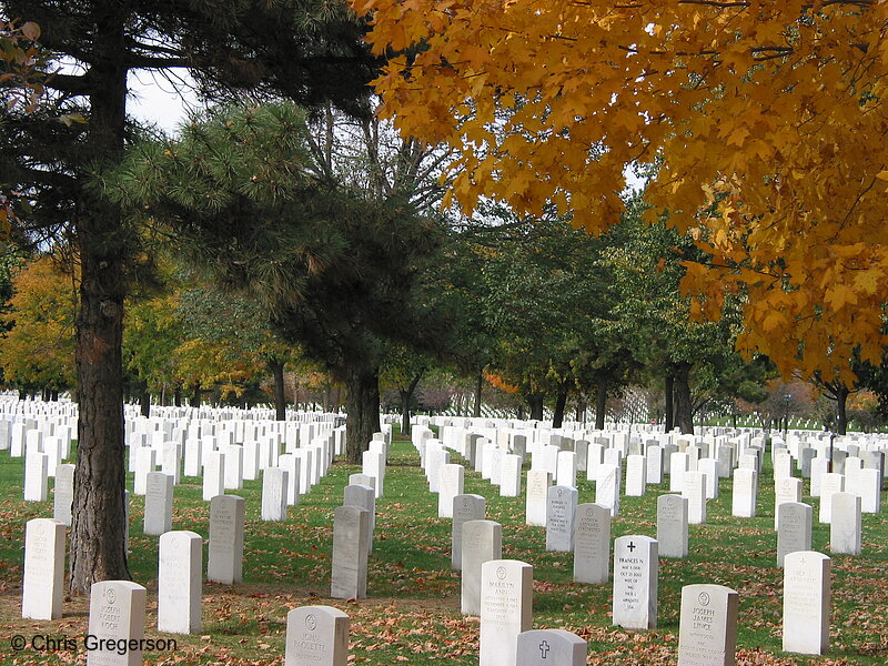 Photo of Fort Snelling National Cemetery(2959)