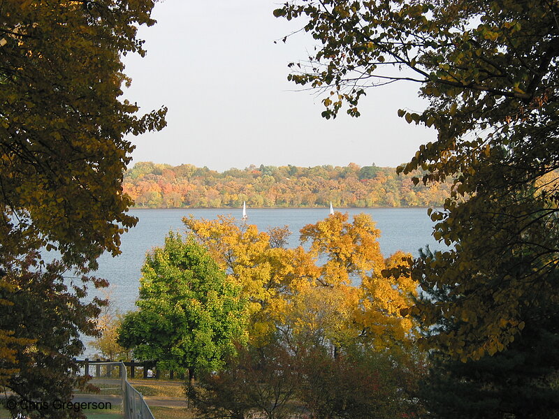 Photo of Lake Harriet with Sailboats in the Fall(2961)