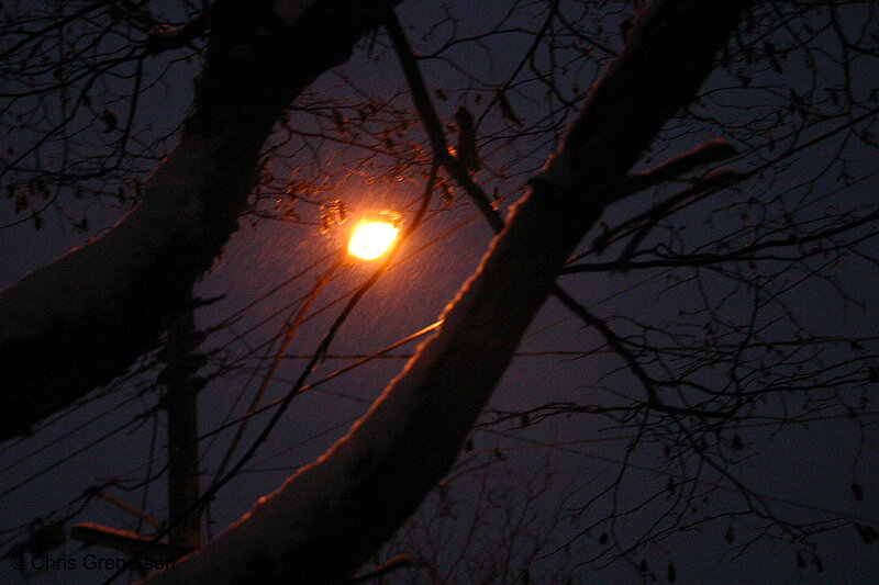 Photo of Streetlight at Night in Snowfall(3067)