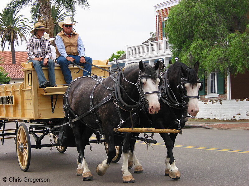 Photo of Horse-drawn Wagon, San Diego(3175)