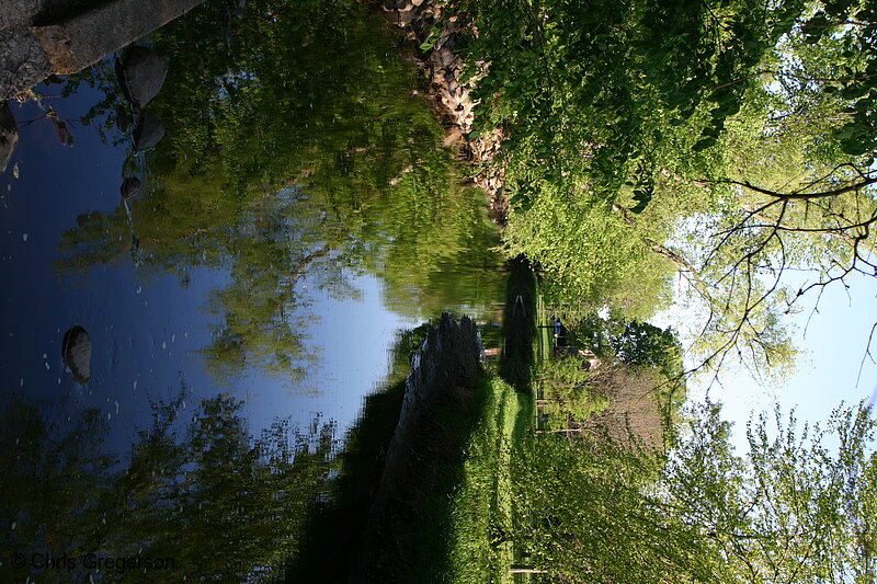 Photo of Minnehaha Creek(3183)