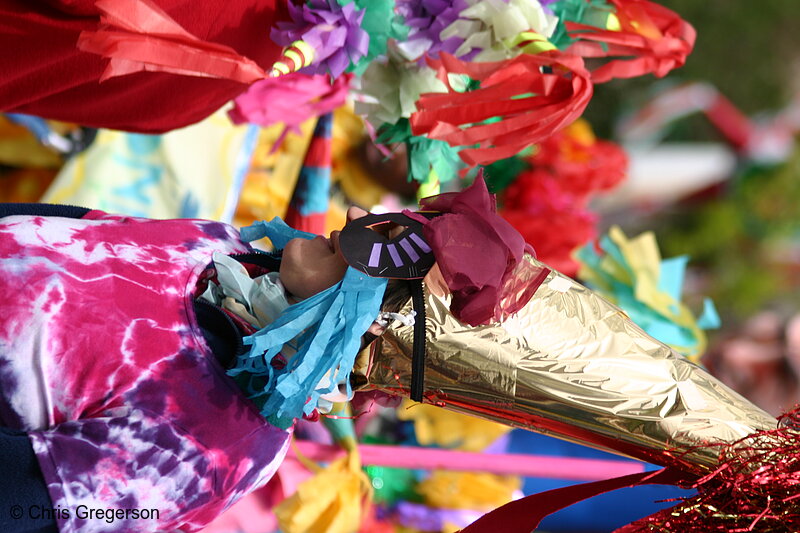 Photo of Woman in Costume, May Day Parade(3201)