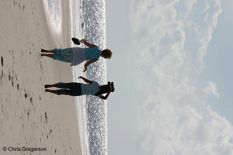 Photo of Women Walking Together on the Beach(4935)