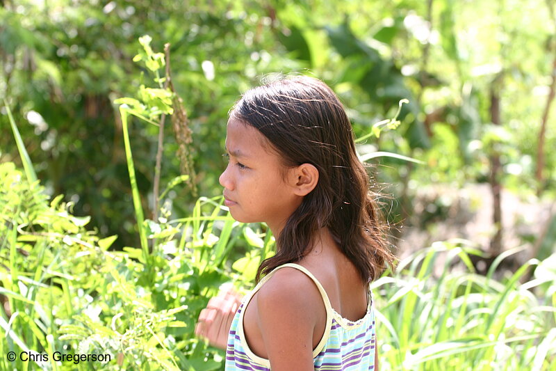 Photo of Brown-Skinned Girl on an Area with Thick Vegetation(5268)