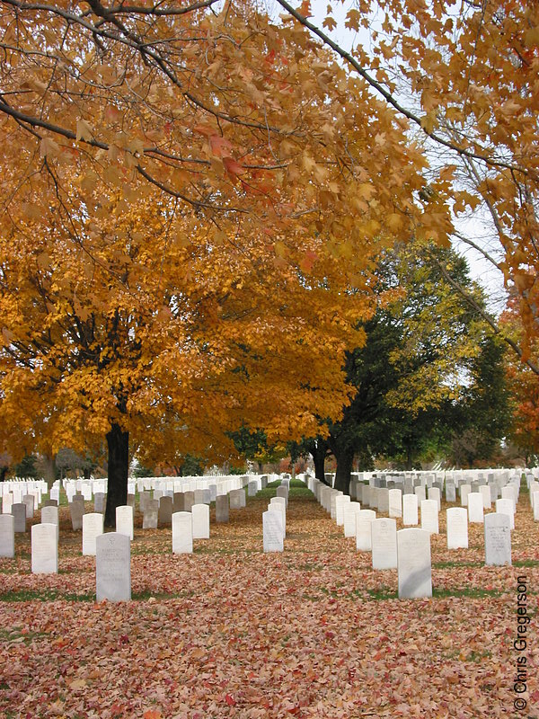 Photo of Fort Snelling National Cemetery in Fall(5354)