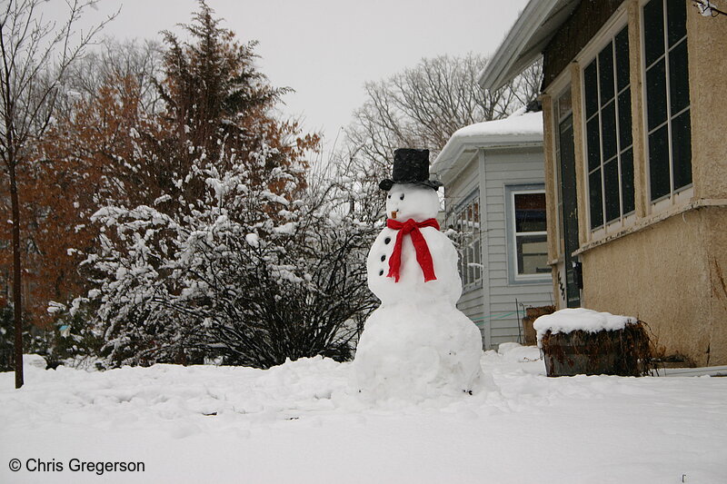 Photo of Snowman in Neighborhood Front Yard(5727)