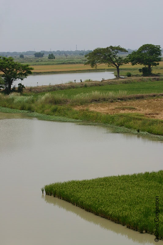 Photo of Farm Fields and Ponds Near The National Highway in Luzon, the Philippines(6178)