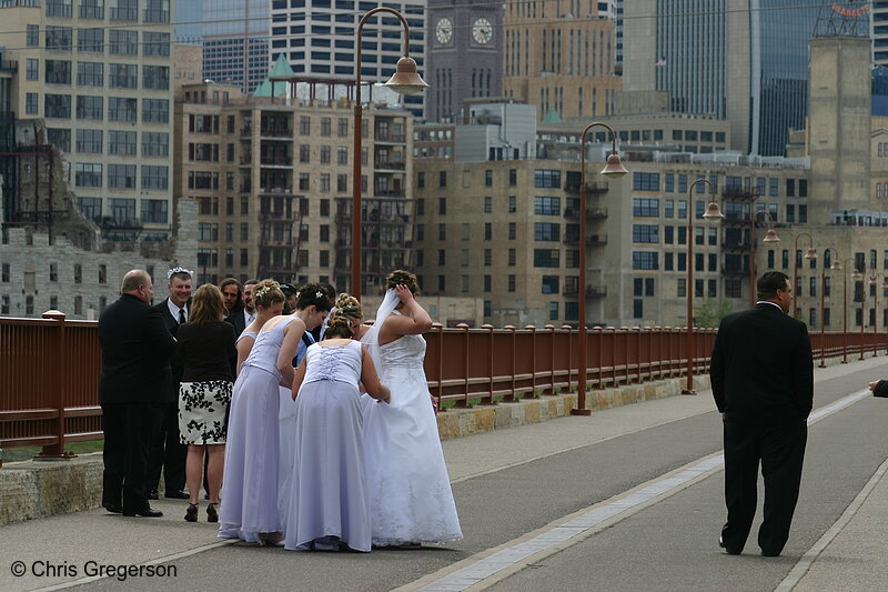 Photo of Wedding Party on the Stone Arch Bridge, Minneapolis(6214)