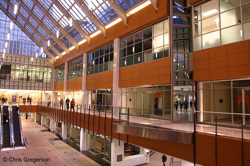 Photo of Inside City Center Atrium, Downtown Minneapolis(6266)