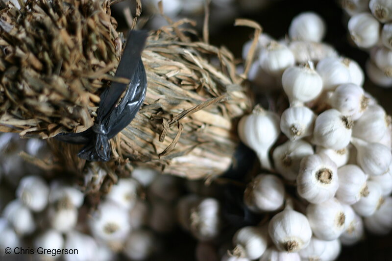 Photo of Bunch of Pinili Garlic (Philippines)(6473)