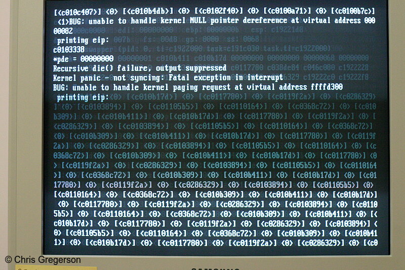 Photo of Monitor Showing a Linux Crash on Boot, Scrolling Error Message(6501)