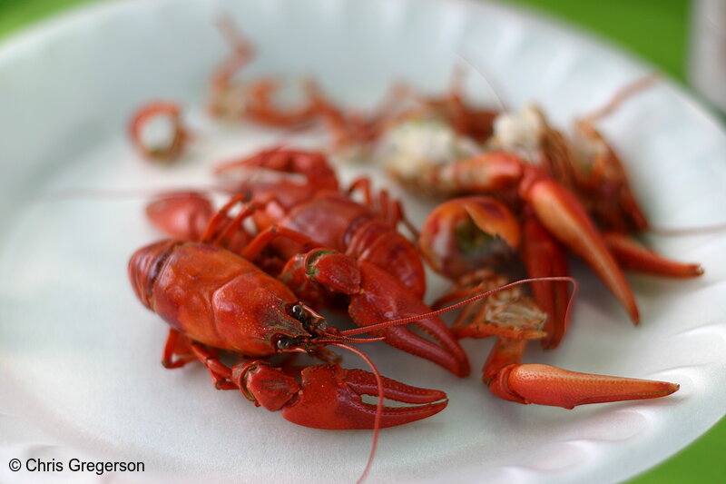 Photo of Cooked Crayfish/Crawfish(6537)