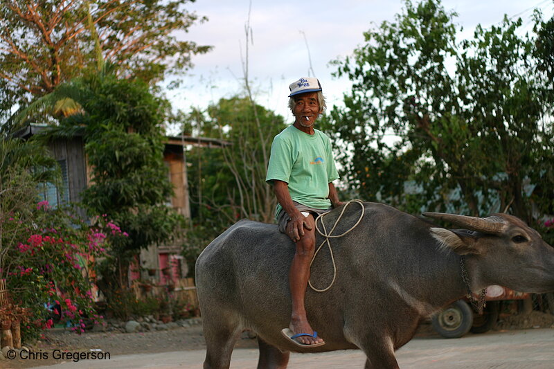 Photo of Man Riding a Carabou (Water Buffalo) in a Village in the Philippines(6668)