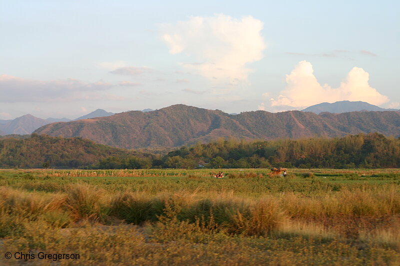Photo of Farm Fields and Mountains, Ilocos Norte, the Philippines(6675)