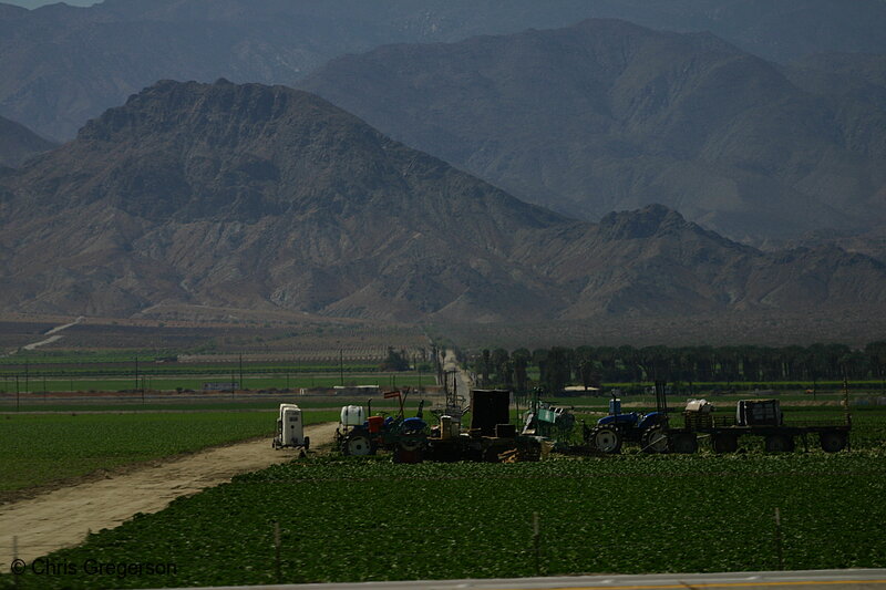 Photo of Farming Near Salton Sea, CA(6863)