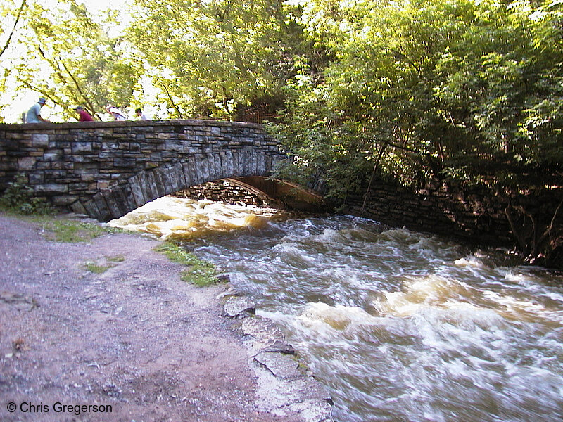 Photo of Footbridge Below Minnehaha Falls(696)