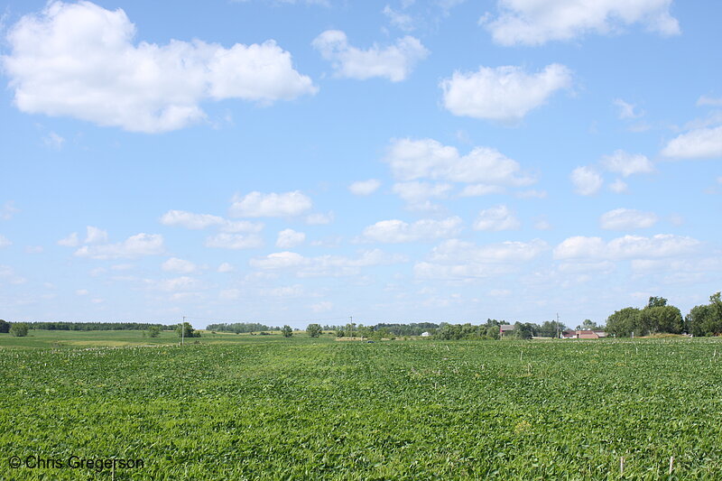 Photo of Farm Field with Clouds Outside New Richmond, WI(7197)