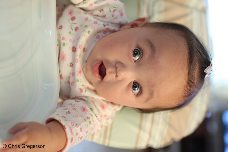 Photo of Baby Girl in High Chair(7310)