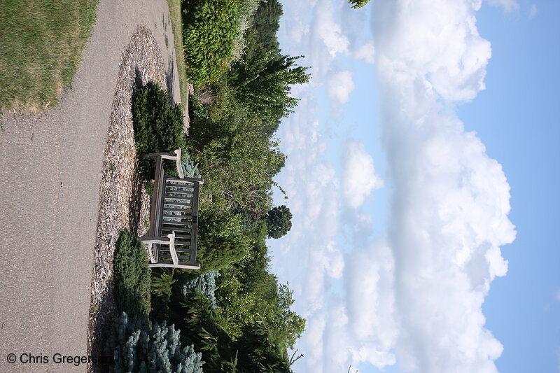 Photo of Bailey Shrub Walk, Minnesota Landscape Arboretum(7333)