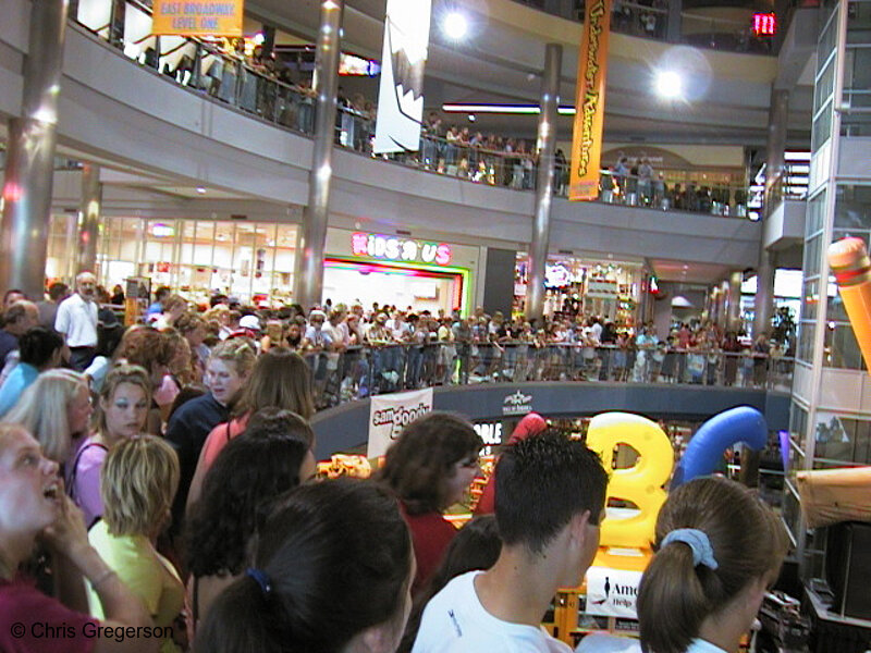 Photo of Crowd in the Rotunda at the Mall of America(741)