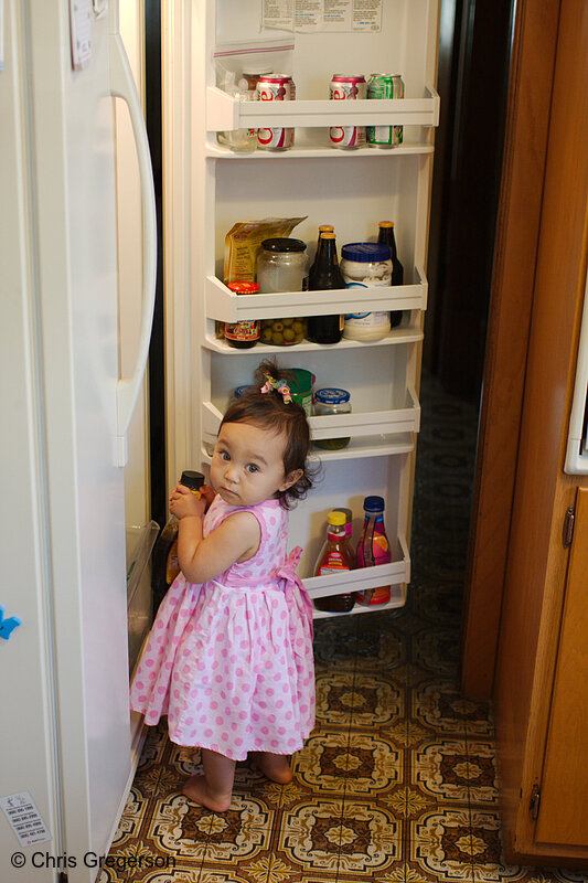 Photo of Athena at the Refrigerator(7694)