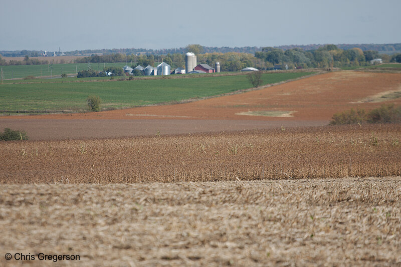 Photo of Corn Fields and Farm, St. Croix County(7941)