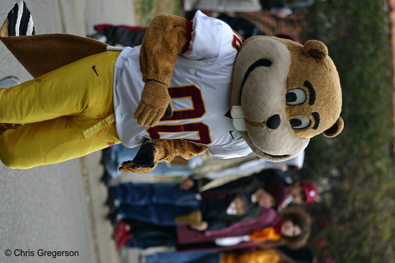 Photo of Goldy the Gopher, U of M Homecoming Parade(8038)