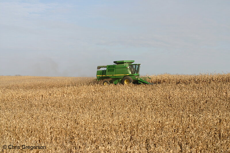 Photo of Combine in Corn Field(8044)