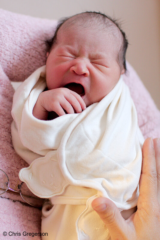 Photo of Newborn Baby Yawning(8269)