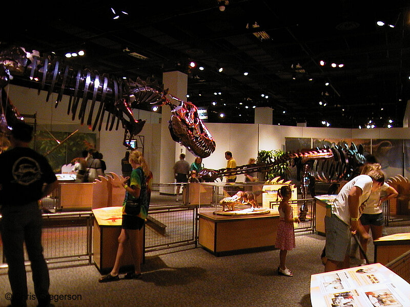 Photo of Kinetosaurs at the Science Museum of Minnesota(834)