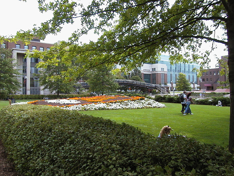 Photo of Northrop Mall Sesquicentennial Flower Display(950)