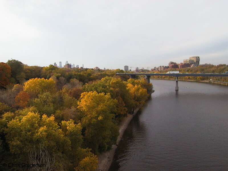 Photo of Fall Trees on the River(1061)