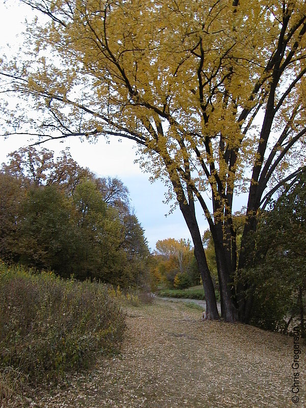 Photo of Minnehaha Creek in Fall(1069)