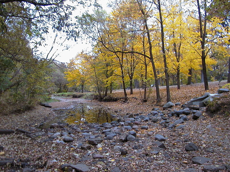 Photo of Minnehaha Creek at Penn Avenue(1071)