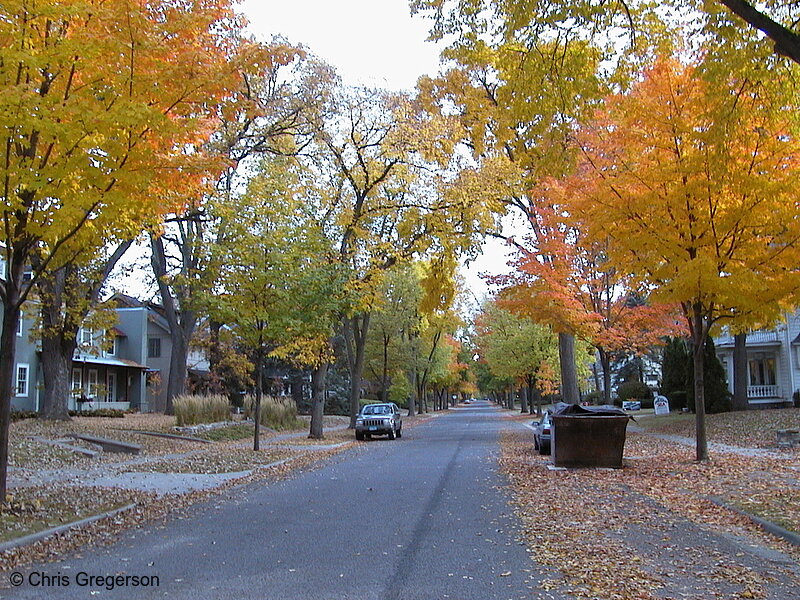 Photo of Fall Colors on Emerson Avenue South(1076)