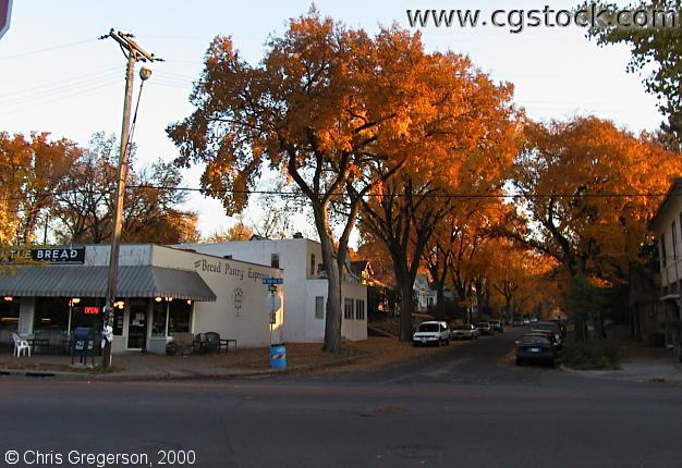Photo of Beard Avenue and 44th in the Fall(1084)
