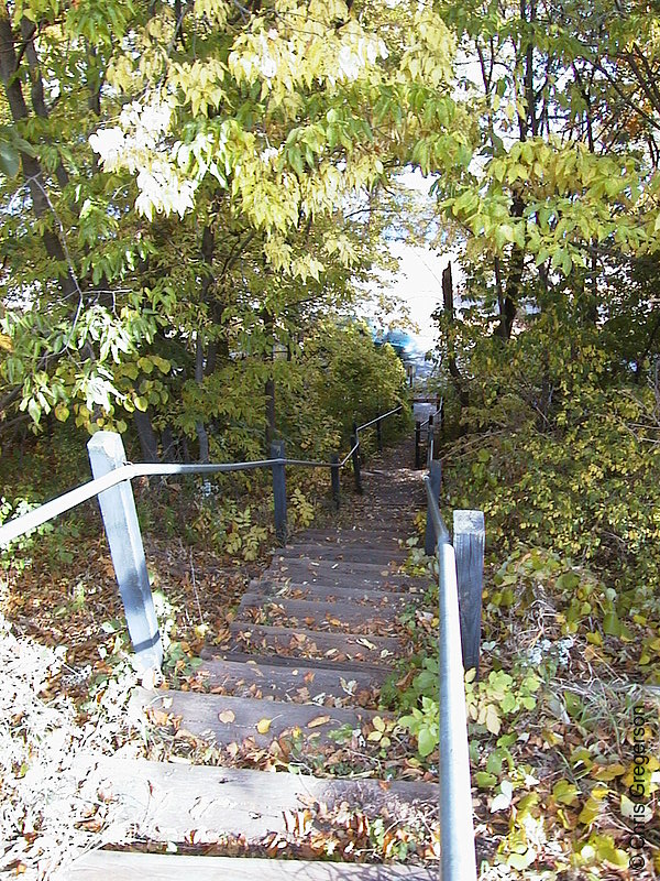 Photo of Hidden Stairs in the Fall(1088)
