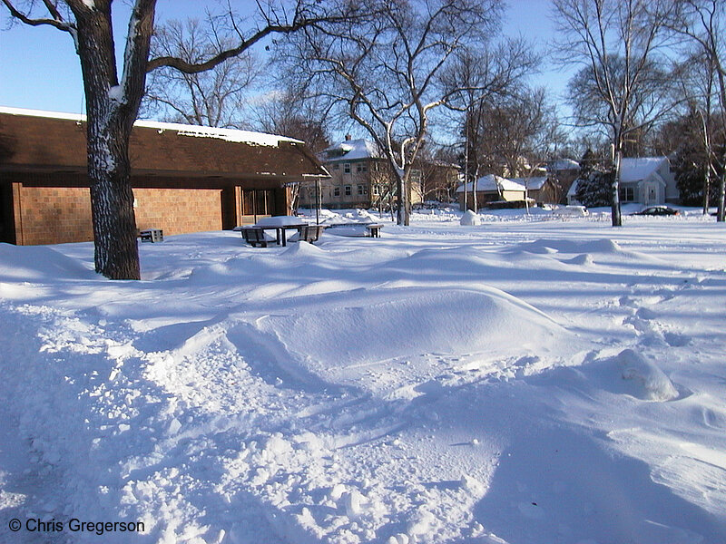 Photo of Snow in Linden Hills Park(1167)
